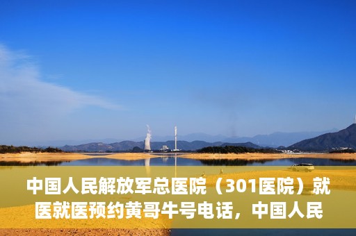 中国人民解放军总医院（301医院）就医就医预约黄哥牛号电话，中国人民解放军总医院（301医院）黄哥就医预约热线电话全攻略