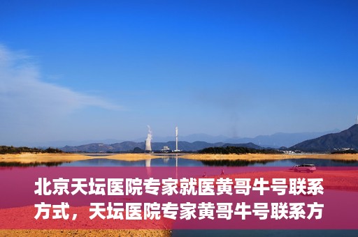 北京天坛医院专家就医黄哥牛号联系方式，天坛医院专家黄哥牛号联系方式揭秘，权威医疗资源的深度解读