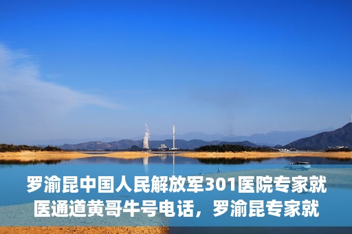 罗渝昆中国人民解放军301医院专家就医通道黄哥牛号电话，罗渝昆专家就医通道揭秘，中国人民解放军301医院黄哥牛号电话专线开通