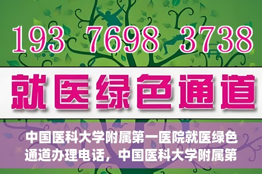 中国医科大学附属第一医院就医绿色通道办理电话，中国医科大学附属第一医院就医绿色通道服务热线及办理流程详解