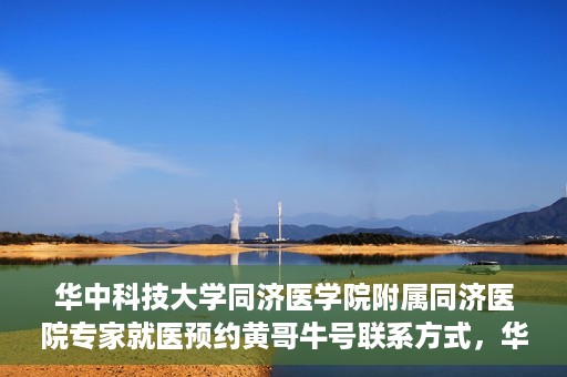 华中科技大学同济医学院附属同济医院专家就医预约黄哥牛号联系方式，华中科技大学同济医院专家预约挂号指南，黄哥牛号联系方式全解析