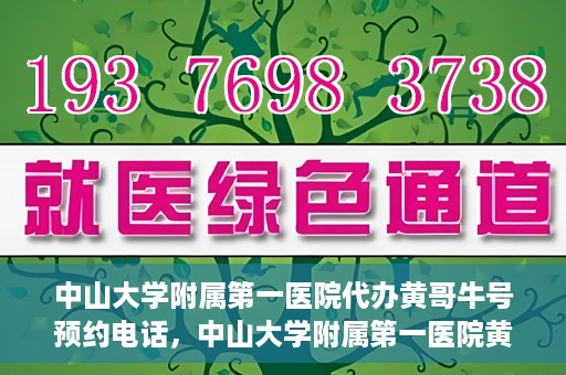 中山大学附属第一医院代办黄哥牛号预约电话，中山大学附属第一医院黄哥牛号预约电话代办服务解析