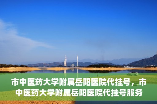市中医药大学附属岳阳医院代挂号，市中医药大学附属岳阳医院代挂号服务解析
