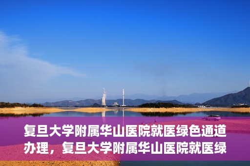 复旦大学附属华山医院就医绿色通道办理，复旦大学附属华山医院就医绿色通道办理详解与指南