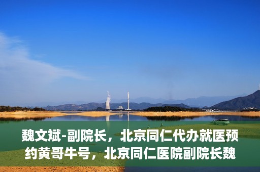 魏文斌-副院长，北京同仁代办就医预约黄哥牛号，北京同仁医院副院长魏文斌揭秘，黄哥牛号助您轻松预约就医新攻略