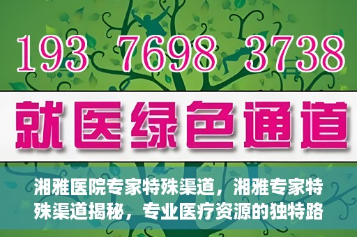 湘雅医院专家特殊渠道，湘雅专家特殊渠道揭秘，专业医疗资源的独特路径探索