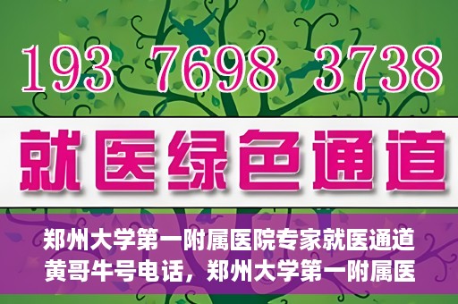 郑州大学第一附属医院专家就医通道黄哥牛号电话，郑州大学第一附属医院专家就医通道揭秘，黄哥牛号电话咨询全解析