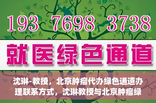 沈琳-教授，北京肿瘤代办绿色通道办理联系方式，沈琳教授与北京肿瘤绿色通道，便捷办理联系方式揭秘