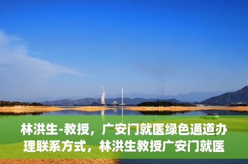林洪生-教授，广安门就医绿色通道办理联系方式，林洪生教授广安门就医绿色通道详解及联系方式揭秘