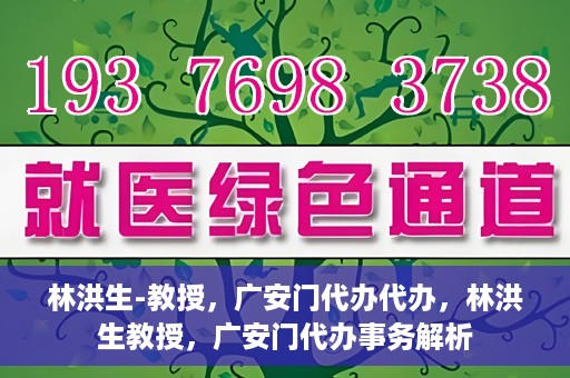 林洪生-教授，广安门代办代办，林洪生教授，广安门代办事务解析