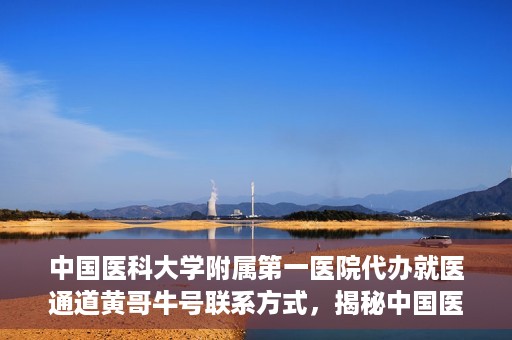 中国医科大学附属第一医院代办就医通道黄哥牛号联系方式，揭秘中国医科大学附属第一医院就医代办通道，黄哥牛号联系方式及更多信息解读