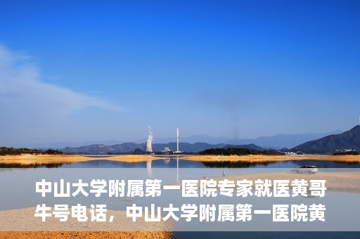 中山大学附属第一医院专家就医黄哥牛号电话，中山大学附属第一医院黄哥牛号专家就医电话揭秘
