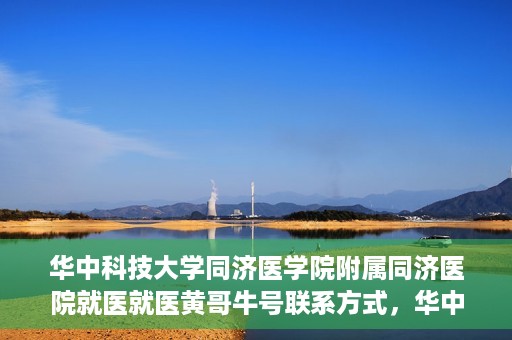 华中科技大学同济医学院附属同济医院就医就医黄哥牛号联系方式，华中科技大学同济医院就医指南，黄哥牛号联系方式揭秘
