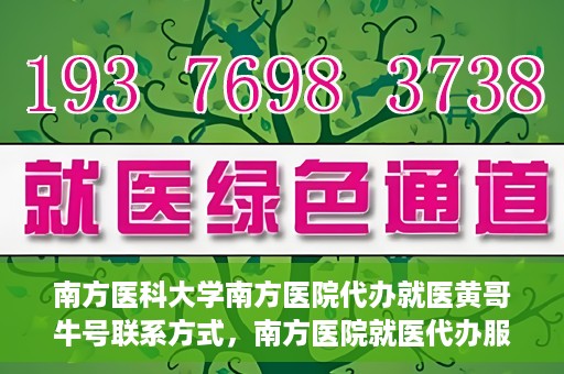 南方医科大学南方医院代办就医黄哥牛号联系方式，南方医院就医代办服务联系指南，黄哥牛号联系方式揭秘