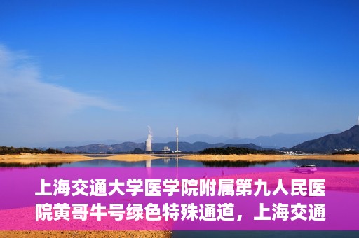 上海交通大学医学院附属第九人民医院黄哥牛号绿色特殊通道，上海交通大学医学院附属第九人民医院黄哥牛号，绿色特殊通道开启健康之门