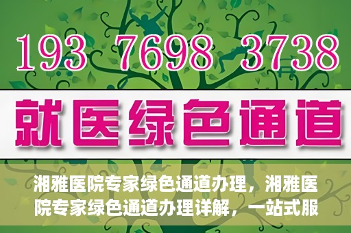 湘雅医院专家绿色通道办理，湘雅医院专家绿色通道办理详解，一站式服务助力高效就医体验