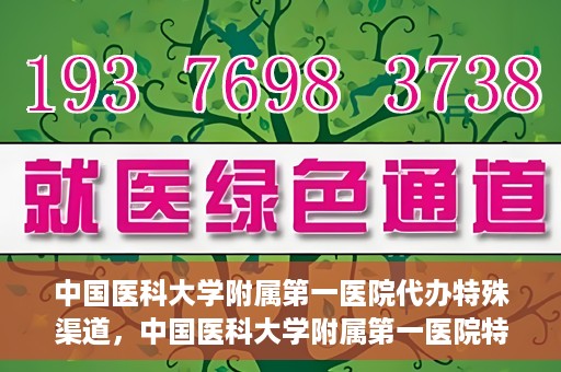 中国医科大学附属第一医院代办特殊渠道，中国医科大学附属第一医院特殊渠道代办服务详解