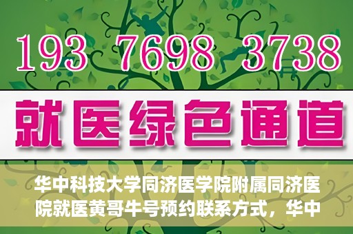 华中科技大学同济医学院附属同济医院就医黄哥牛号预约联系方式，华中科技大学同济医院黄哥牛号预约联系方式及就医指南