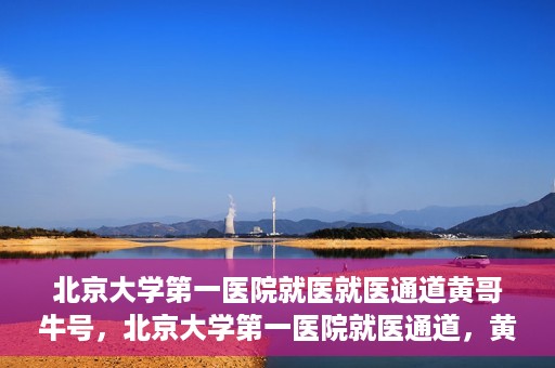 北京大学第一医院就医就医通道黄哥牛号，北京大学第一医院就医通道，黄哥牛号助您便捷就医