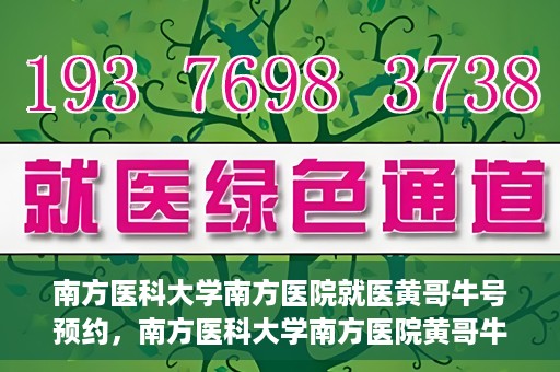 南方医科大学南方医院就医黄哥牛号预约，南方医科大学南方医院黄哥牛号预约就医攻略