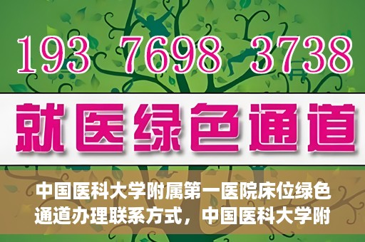中国医科大学附属第一医院床位绿色通道办理联系方式，中国医科大学附属第一医院床位绿色通道办理指南及联系方式揭秘