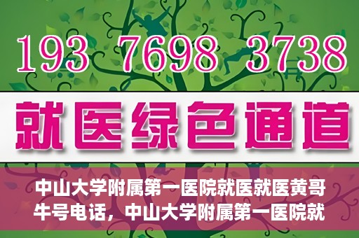 中山大学附属第一医院就医就医黄哥牛号电话，中山大学附属第一医院就医攻略，黄哥牛号电话全解析