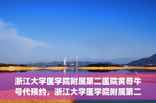 浙江大学医学院附属第二医院黄哥牛号代预约，浙江大学医学院附属第二医院黄哥牛号预约攻略，轻松解决挂号难题