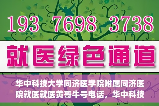 华中科技大学同济医学院附属同济医院就医就医黄哥牛号电话，华中科技大学同济医院就医指南，黄哥牛号电话一键预约就医服务