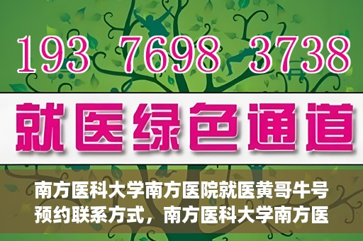 南方医科大学南方医院就医黄哥牛号预约联系方式，南方医科大学南方医院黄哥牛号预约挂号联系方式揭秘