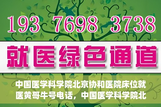 中国医学科学院北京协和医院床位就医黄哥牛号电话，中国医学科学院北京协和医院床位预约及就医咨询联系方式揭秘，黄哥牛号电话一览