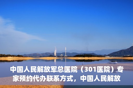 中国人民解放军总医院（301医院）专家预约代办联系方式，中国人民解放军总医院（301医院）专家预约咨询与联系方式全解析