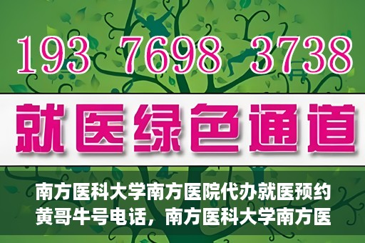 南方医科大学南方医院代办就医预约黄哥牛号电话，南方医科大学南方医院预约就医代办服务，黄哥牛号预约电话便捷通道开启