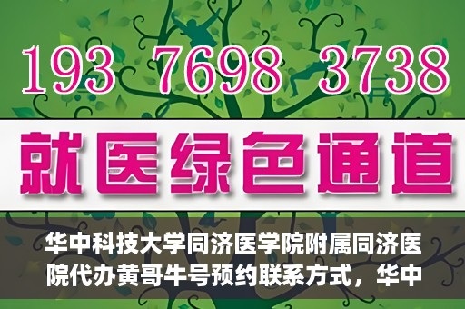 华中科技大学同济医学院附属同济医院代办黄哥牛号预约联系方式，华中科技大学同济医院黄哥牛号预约联系方式及代办服务解析