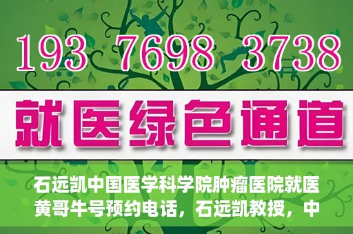 石远凯中国医学科学院肿瘤医院就医黄哥牛号预约电话，石远凯教授，中国医学科学院肿瘤医院就医攻略及黄哥牛号预约热线揭秘