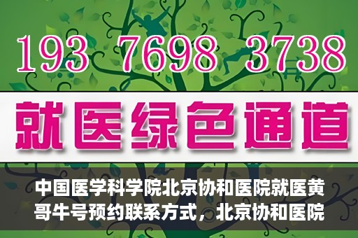 中国医学科学院北京协和医院就医黄哥牛号预约联系方式，北京协和医院黄哥牛号预约挂号联系方式揭秘，权威医学专家预约攻略