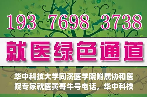 华中科技大学同济医学院附属协和医院专家就医黄哥牛号电话，华中科技大学同济医学院附属协和医院专家黄哥牛号电话就医指南