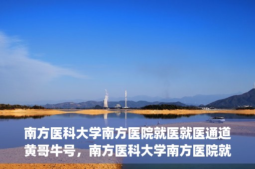 南方医科大学南方医院就医就医通道黄哥牛号，南方医科大学南方医院就医通道解析，黄哥牛号的就医之旅