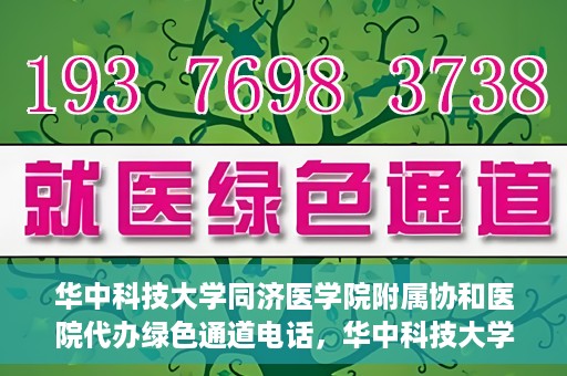 华中科技大学同济医学院附属协和医院代办绿色通道电话，华中科技大学同济医学院附属协和医院绿色通道电话代办服务详解