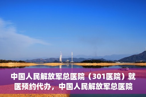 中国人民解放军总医院（301医院）就医预约代办，中国人民解放军总医院（301医院）就医预约代办服务详解