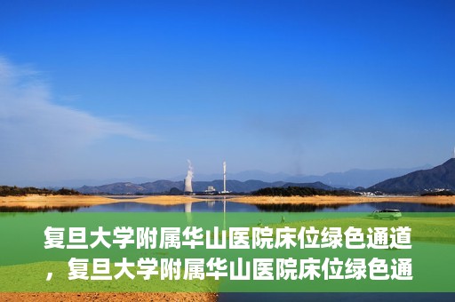 复旦大学附属华山医院床位绿色通道，复旦大学附属华山医院床位绿色通道，高效医疗服务的绿色通道探索