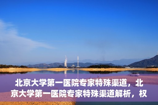 北京大学第一医院专家特殊渠道，北京大学第一医院专家特殊渠道解析，权威医疗资源的独特路径探索