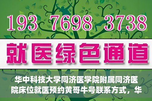 华中科技大学同济医学院附属同济医院床位就医预约黄哥牛号联系方式，华中科技大学同济医院床位预约联系方式及黄哥牛号揭秘