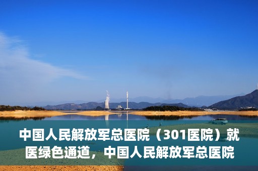 中国人民解放军总医院（301医院）就医绿色通道，中国人民解放军总医院就医绿色通道，高效便捷的医疗服务体验