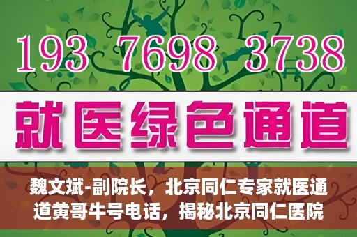 魏文斌-副院长，北京同仁专家就医通道黄哥牛号电话，揭秘北京同仁医院专家就医通道，魏文斌副院长与黄哥牛号电话背后的故事