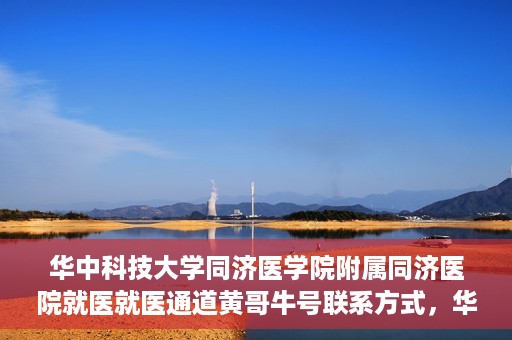 华中科技大学同济医学院附属同济医院就医就医通道黄哥牛号联系方式，华中科技大学同济医院就医通道详解，黄哥牛号联系方式揭秘