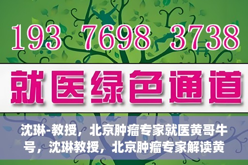 沈琳-教授，北京肿瘤专家就医黄哥牛号，沈琳教授，北京肿瘤专家解读黄哥牛号就医秘籍