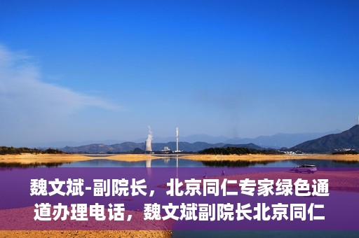 魏文斌-副院长，北京同仁专家绿色通道办理电话，魏文斌副院长北京同仁专家绿色通道联系电话及办理须知