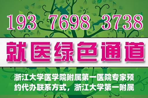 浙江大学医学院附属第一医院专家预约代办联系方式，浙江大学第一附属医院专家预约代办服务指南，快速便捷联系方式揭秘