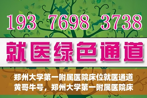 郑州大学第一附属医院床位就医通道黄哥牛号，郑州大学第一附属医院床位就医通道揭秘，黄哥牛号引领就医新风尚
