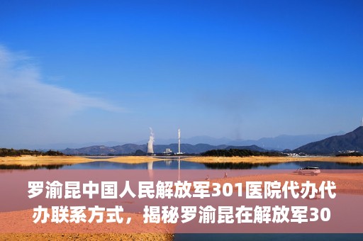 罗渝昆中国人民解放军301医院代办代办联系方式，揭秘罗渝昆在解放军301医院的代办联系方式，权威医疗背后的服务细节解读